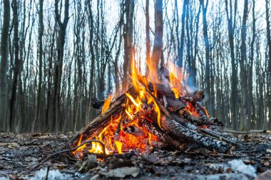 Bahar ormanında kamp ateşi. Hafta sonu dinlen. Orman yangınları tehlikesi.