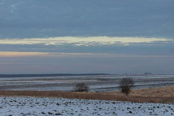 畑や牧草地の上に自然日の出 冬の雪上空の色 夕暮れ時の絵のように美しい空の下の風景 太陽の夜明け スカイライン ホライズン — ストック写真