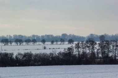 Saha ya da çayır üzerinde gün batımı. Kış karlı zemin üzerindeki gökyüzünün rengi. Gün batımında resim gibi bir gökyüzünün altındaki manzara. Güneşin doğuşu. Skyline, Horizon.