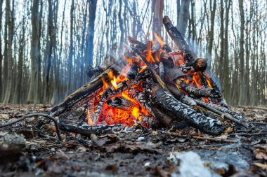 Bahar ormanında kamp ateşi. Hafta sonu dinlen. Orman yangınları tehlikesi.