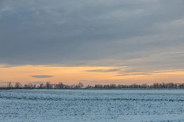 畑や牧草地の上に自然日の出 冬の雪上空の色 夕暮れ時の絵のように美しい空の下の風景 太陽の夜明け スカイライン ホライズン — ストック写真