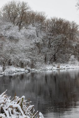 Winter Park nehir manzarası. Kış Parkı Nehri.
