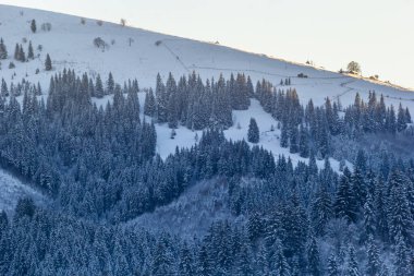 Kırsal tepeler, korular ve kışın uzak Karpat dağ köyündeki tarım arazileri. brae.