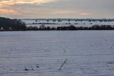 Saha ya da çayır üzerinde gün batımı. Kış karlı zemin üzerindeki gökyüzünün rengi. Gün batımında resim gibi bir gökyüzünün altındaki manzara. Güneşin doğuşu. Skyline, Horizon.