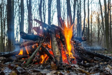 Bahar ormanında kamp ateşi. Hafta sonu dinlen. Orman yangınları tehlikesi.