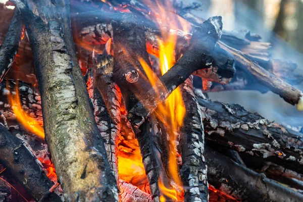 แคมป ไฟในป าฤด ใบไม อนในว นหย นตรายจากไฟป — ภาพถ่ายสต็อก