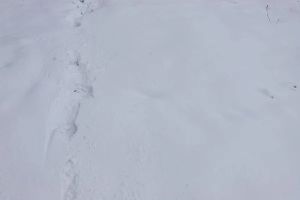 Vista Superior Pegada Botas Sapatos Neve Fresca Estação Inverno — Fotografia de Stock