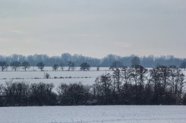Saha ya da çayır üzerinde gün batımı. Kış karlı zemin üzerindeki gökyüzünün rengi. Gün batımında resim gibi bir gökyüzünün altındaki manzara. Güneşin doğuşu. Skyline, Horizon.