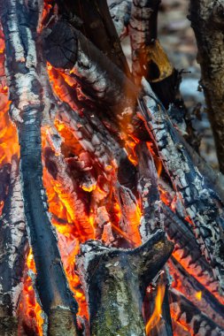Bahar ormanında kamp ateşi. Hafta sonu dinlen. Orman yangınları tehlikesi.