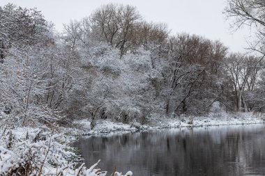 Winter Park nehir manzarası. Kış Parkı Nehri.