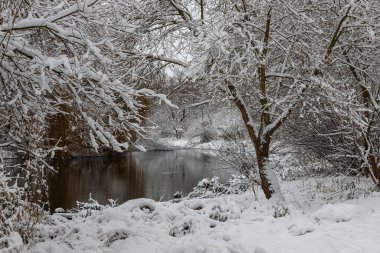 Winter Park nehir manzarası. Kış Parkı Nehri.