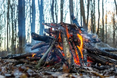 Bahar ormanında kamp ateşi. Hafta sonu dinlen. Orman yangınları tehlikesi.