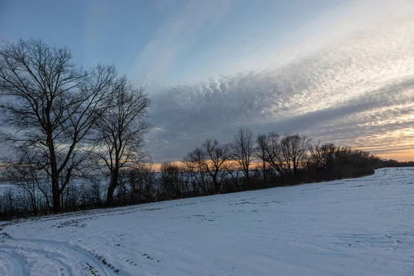 畑や牧草地の上に自然日の出 冬の雪上空の色 夕暮れ時の絵のように美しい空の下の風景 太陽の夜明け スカイライン ホライズン — ストック写真
