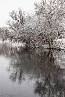 Winter Park nehir manzarası. Kış Parkı Nehri.
