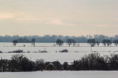Saha ya da çayır üzerinde gün batımı. Kış karlı zemin üzerindeki gökyüzünün rengi. Gün batımında resim gibi bir gökyüzünün altındaki manzara. Güneşin doğuşu. Skyline, Horizon.