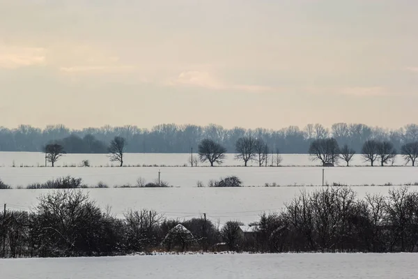 Saha ya da çayır üzerinde gün batımı. Kış karlı zemin üzerindeki gökyüzünün rengi. Gün batımında resim gibi bir gökyüzünün altındaki manzara. Güneşin doğuşu. Skyline, Horizon.
