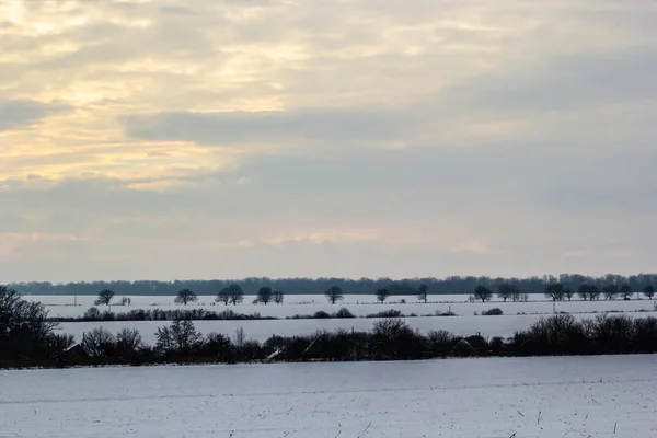 Natürlicher Sonnenuntergang Über Feld Oder Wiese Die Farbe Des Himmels — Stockfoto