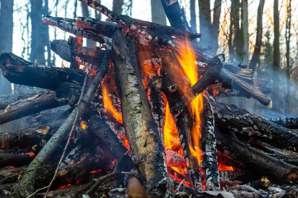 Bahar ormanında kamp ateşi. Hafta sonu dinlen. Orman yangınları tehlikesi.