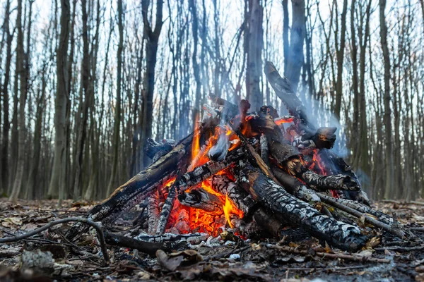 Bahar ormanında kamp ateşi. Hafta sonu dinlen. Orman yangınları tehlikesi.