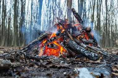 Bahar ormanında kamp ateşi. Hafta sonu dinlen. Orman yangınları tehlikesi.