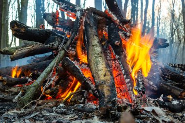 Bahar ormanında kamp ateşi. Hafta sonu dinlen. Orman yangınları tehlikesi.