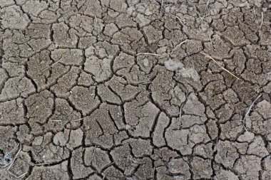 Kırık zemin zemin kuraklık, toprak doku ve kuru çamur, kuru arazi.