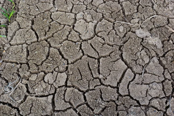 Тріщини Землі Грунт Посуху Текстура Грунту Сухий Бруд Суха Земля — стокове фото