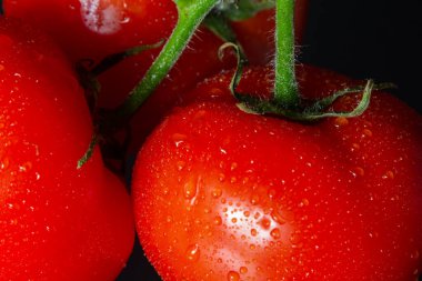 siyah zemin su damlaları ile fotoğraf domates.