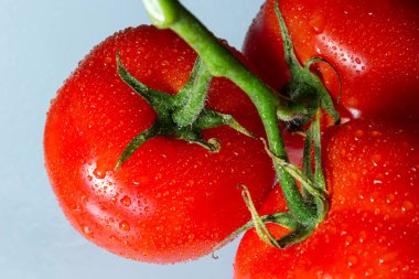Yeşil kesimli kırmızı domatesler ve yıkandıktan sonra hafif arkaplanda su damlaları..