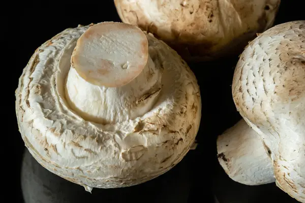 Siyah arka planda izole edilmiş siyah ayna yüzeyinde mantar şampiyonları.