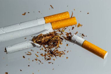 Hafif bir arka planda kırık sigara sineği. Sigara içmeyle mücadele kavramı.