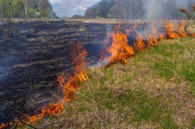 Kuru otları yakıyorum. Diller kırmızı alev ve yanan kuru sarı çimenler duman içinde.