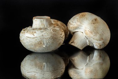 Siyah arka planda izole edilmiş siyah ayna yüzeyinde mantar şampiyonları.