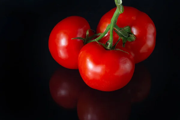 Red Row Ripe Tomatoes Drops Water Luminating Fresh Appetizing Natural — Stock Photo, Image