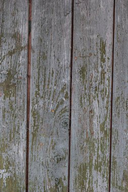 Ahşap dokusu doğal, kontrplak dokusu arka yüzeyi eski doğal desenli doğal meşe dokusu güzel ahşap tahıl, ahşap kaplama arka plan. Ağaç kabuğu.