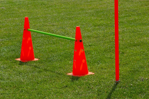 Plastic chips and cone for football training. Sports playground with markings on an artificial lawn on a soccer field.