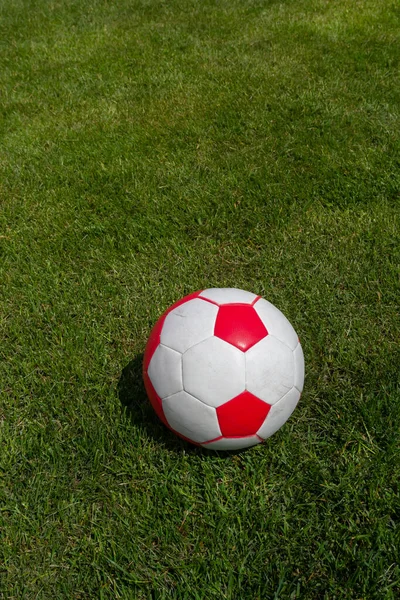 Soccer ball on green grass of football field with copy space.