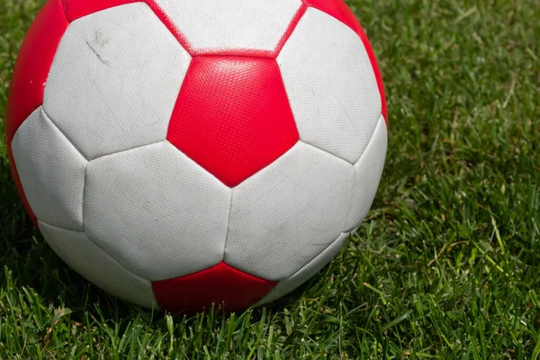 Soccer ball on green grass of football field with copy space.