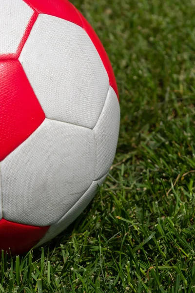 Soccer ball on green grass of football field with copy space.