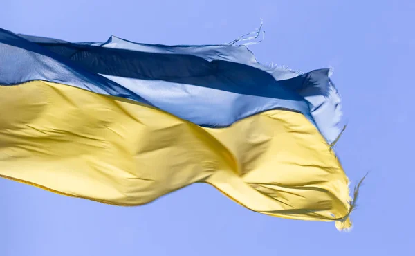 Ukrainian flag in the wind on blue sky background. Large national yellow blue flag of Ukraine. Big Ukrainian state banner.