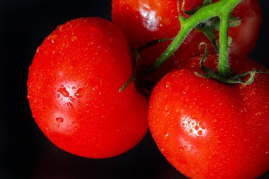 siyah zemin su damlaları ile fotoğraf domates.