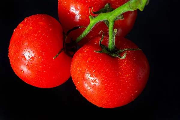 Photo Tomatoes Drops Water Black Background — Stock Photo, Image