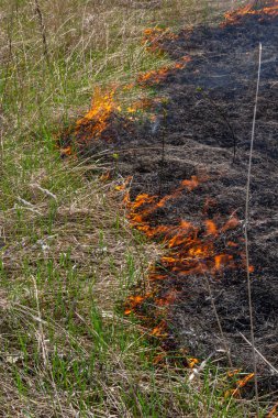 Kuru otları yakıyorum. Diller kırmızı alev ve yanan kuru sarı çimenler duman içinde.