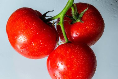 Yeşil kesimli kırmızı domatesler ve yıkandıktan sonra hafif arkaplanda su damlaları..