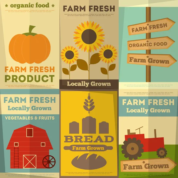 Uppsättning av affischer för ekologisk gård mat — Stock vektor