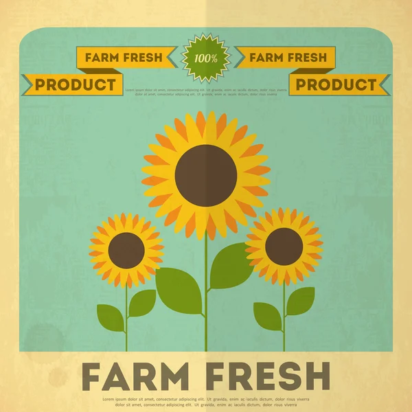有机农场食品的海报 — 图库矢量图片