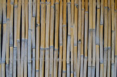 Bambu arka plan detayları ile