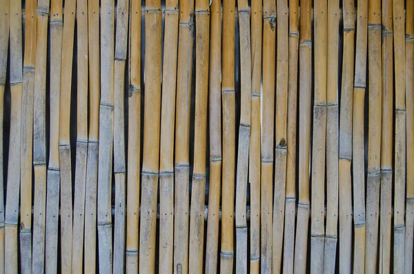 詳細と竹の背景 — ストック写真