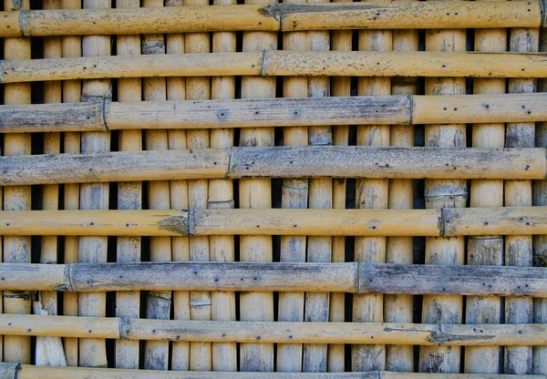 Bambu bakgrund med Detaljer — Stockfoto