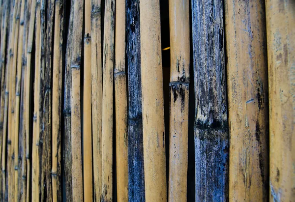 Bamboo background with details — Stock Photo, Image